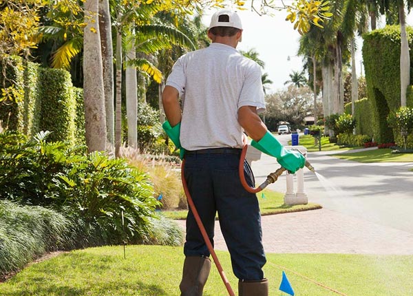 About Center KY Pest Control